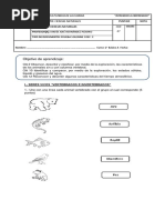 2° Basico Solemne Ciencias Naturales 2° Semestre