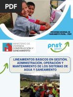 Lineamientos PNSR