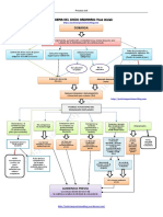 Esquema Proceso Civil. Ordinario PDF