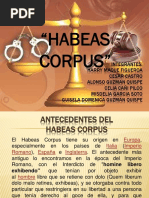 Tribunal Constitucional - Accion de Amparo - Habeas Corpus