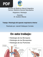 Histología Del Aparato Respiratorio Inferior