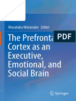 The Prefrontal Cortex As An Executive, Emotional and Social Brain