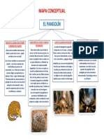 Mapa Conceptual Del Pangolín