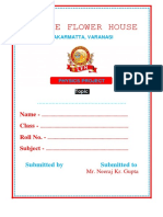 Physics Photoelectric Project