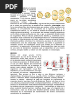 MITOSIS, Meiosis y Las Plantas