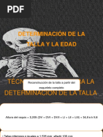 Determinación de La Talla y La Edad