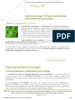 ¿Para Qué Es Buena La Moringa - Usos Medicinales Comprobados de La Moringa - ECOagricultor