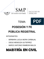 Posesion y Fe Publica Registral