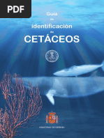 Guía Identificación Cetáceos