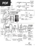 Patologia Suprarrenal