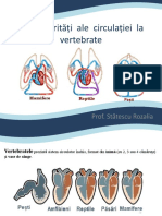 Particularitati Ale Circulatiei La Vertebrate