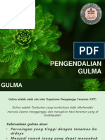 Gulma 2