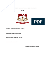 Universidad Cristiana Autonoma de Nicaragua