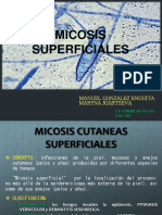 Micosis 170309191442