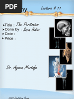 Anatomy, Lecture 11, The Peritoneum (Lecture Notes)