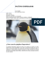 El Pingüino Emperador