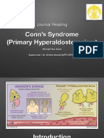 Journal Reading RSP Conn Syndrome Aulia PDF