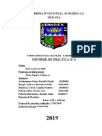 Extracción ADN BIOCEL PDF