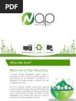 NAP Company Profile