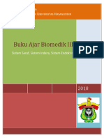 Neuroanatomy