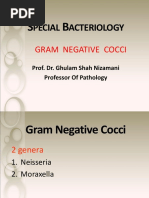 Am - Ve Cocci DPT