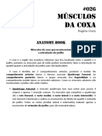 026 Musculos Da Coxa Que Movimentam o Joelho PDF