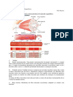 ED. Fisio 16.09