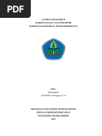 Laprak 05 - Morfologi Eksternal Benih Perkebunan