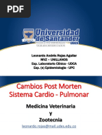 4.cambios Post Mortem Sistemas II