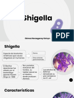 Shigella