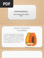 Papaya 2019