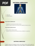 Sistema Nervioso