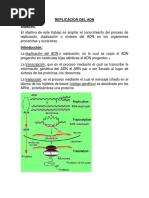 Replicacion Del Adn