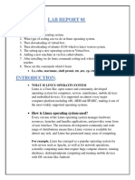 Linux Lab 01 PDF