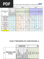 Plan y Programa de Capacitación