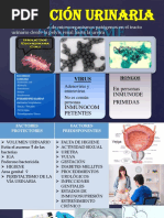 Infeccion Urinaria