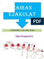 Cairan Ejakulat Baru