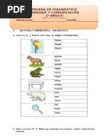 Prueba