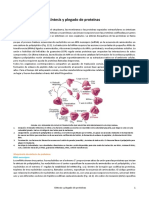 Seminario - Síntesis de Proteínas