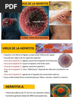 Virus de La Hepatitis y de La Rabia Cerna Salas Milagros.