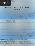 Industria Carnica y Avicola