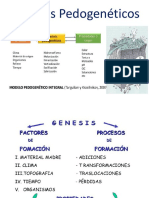 Procesos Pedogeneticos