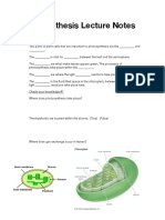 Photosynthesis Lecture Notes PDF Revised