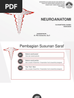 Neuroanatomi: Olvhantiara Sukma 1608438304