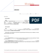 Contrato Director PDF