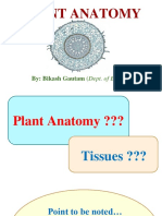 Plant Anatomy