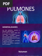 Pulmones