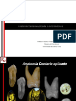 Anatomia Dentaria Aplicada A La Endodoncia AULA PDF