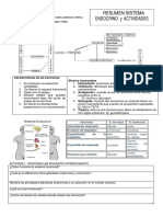 Taller Sistema Endocrino