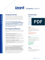 Company Snapshot: Company Overview Practice Areas